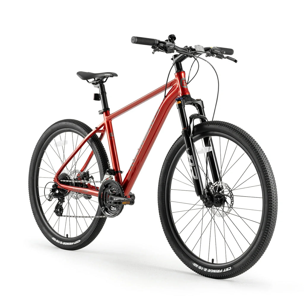Hydraulic disc brake system on ROCKBROS MT200 mountain bike.
#color_red