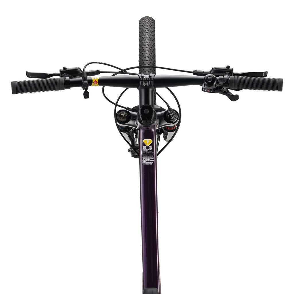 MT400 29 Inch Mountain Bike with 1×10 Gears ROCKBROS#Color_Purple