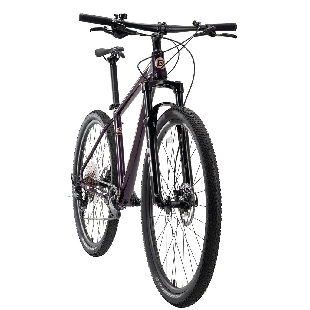 MT400 29 Inch Mountain Bike with 1×10 Gears ROCKBROS#Color_Purple