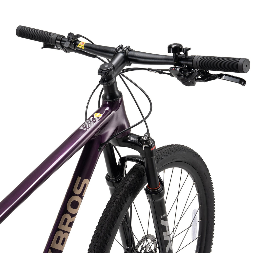 MT400 29 Inch Mountain Bike with 1×10 Gears ROCKBROS#Color_Purple