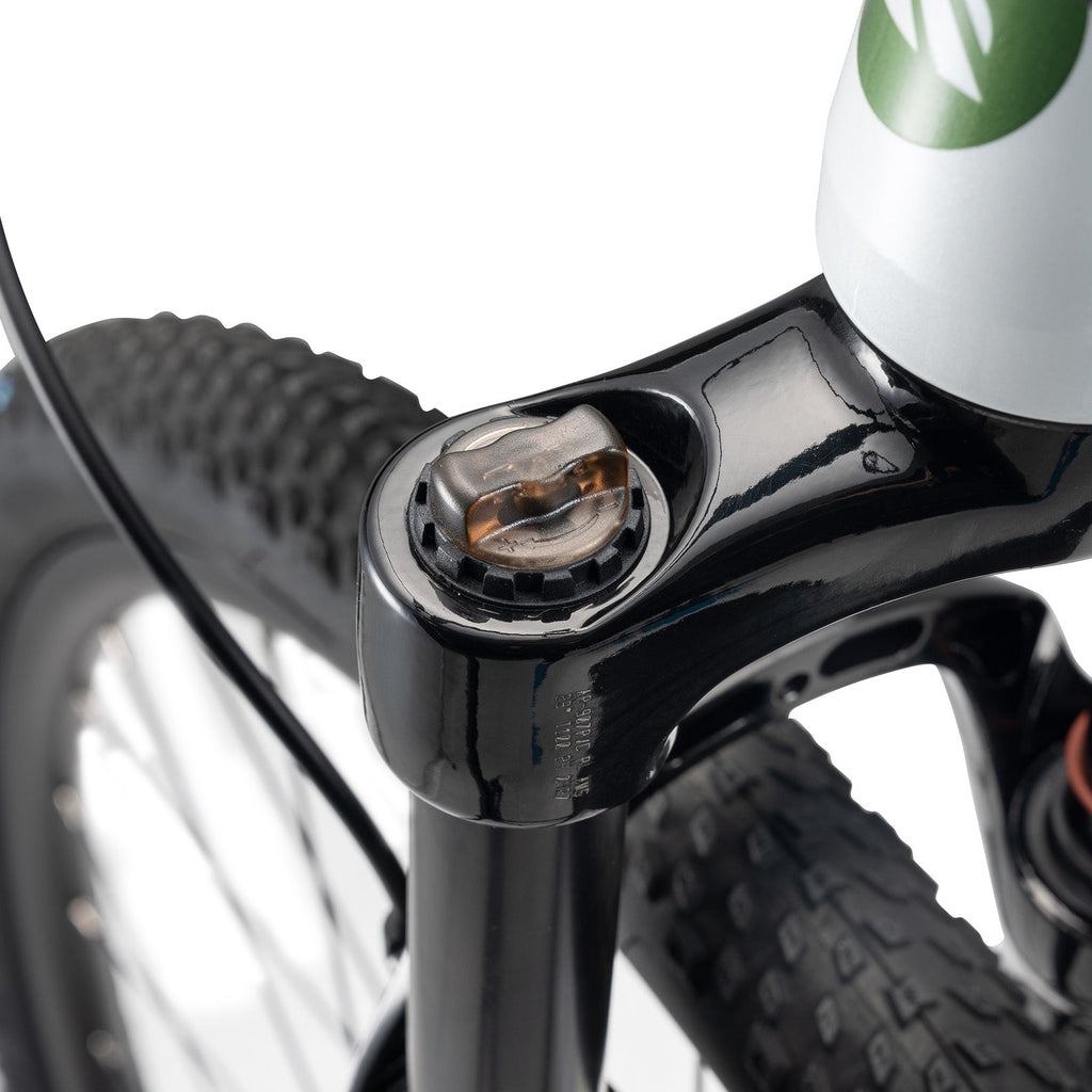 MT400 29 Inch Mountain Bike with 1×10 Gears ROCKBROS#Color_White